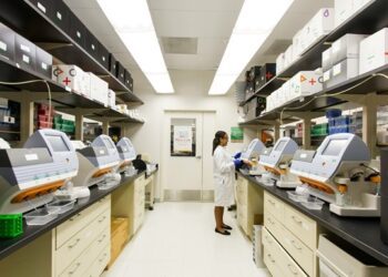 Ожиріння суттєво пришвидшує розвиток хвороби Альцгеймера – дослідження