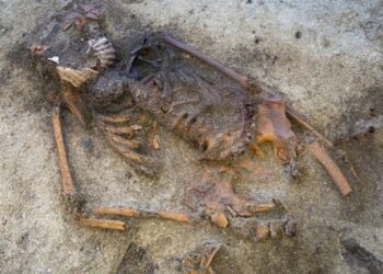 У Швеції знайшли поховання жінки-вікінга з мушлею в роті