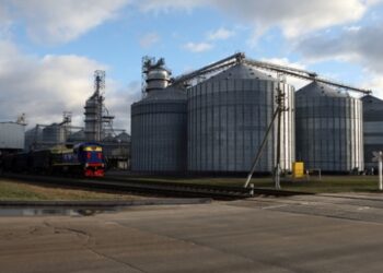 В Україні зібрали майже 60 млн тонн зерна