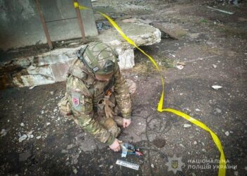 Вибухотехніки поліції знищили бойову частину ворожого ударного дрона