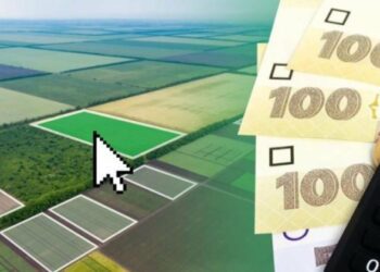 У Сумській громаді скасували земельний податок і орендну плату за землю для бізнесу у 2026 році