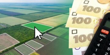 У Сумській громаді скасували земельний податок і орендну плату за землю для бізнесу у 2026 році