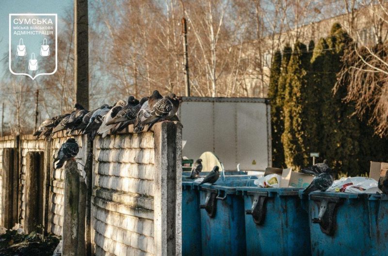 У проведенні благоустрою міста дрібниць немає, - Сергій Кривошеєнко