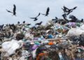 Вчені оцінили обсяг сміття, що викидається на Землі щороку