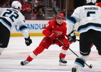 НХЛ: домашня невдача Детройта та поразка Вегаса