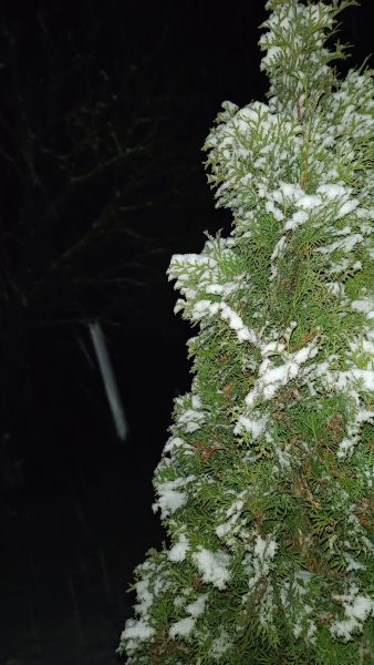 Фотофакт: у Шостці випав перший сніг