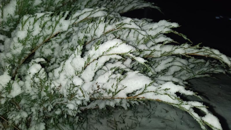 Фотофакт: у Шостці випав перший сніг