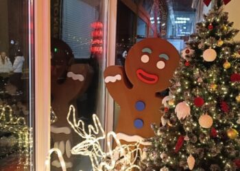 Фоторепортаж: новорічний настрій на вулицях Шостки