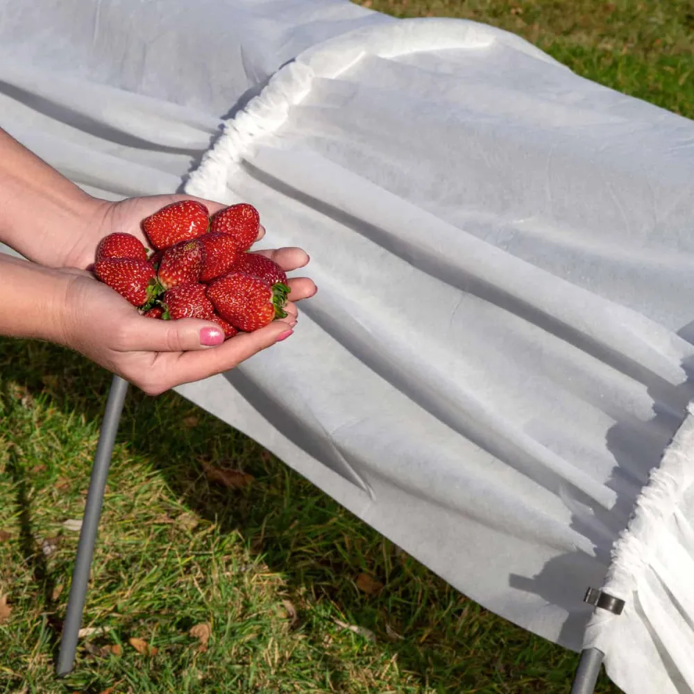 парники з агроволокна