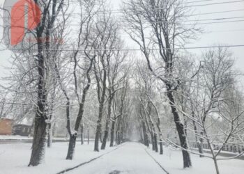 На новорічні свята прогнозують мороз та сніг