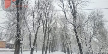 На новорічні свята прогнозують мороз та сніг