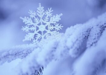 На початку тижня на Сумщині сніжитиме