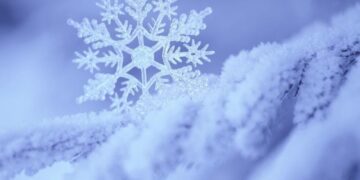 На початку тижня на Сумщині сніжитиме