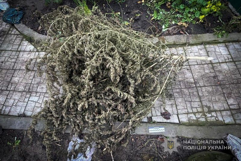 Поліція Охтирщини задокументувала два факти незаконного зберігання наркотичних засобів