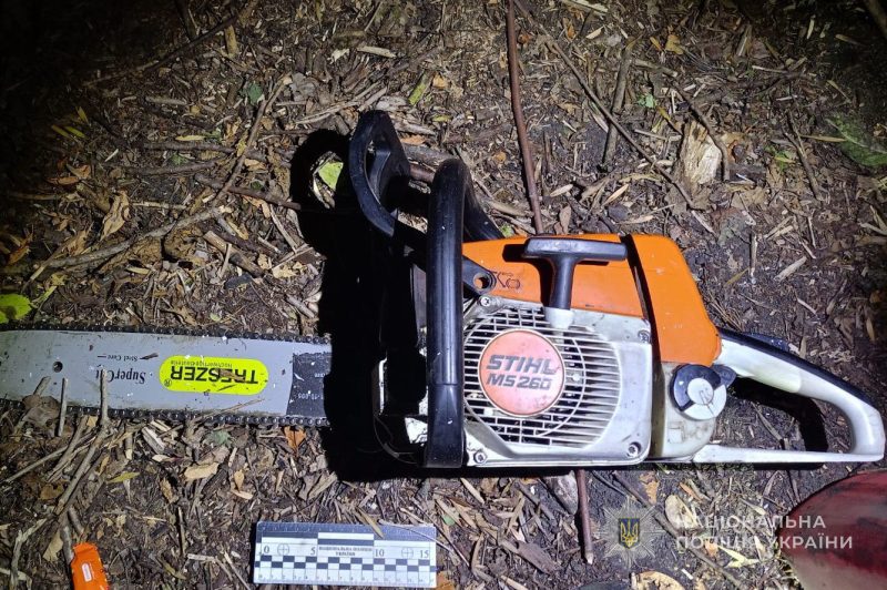 Поліція Роменщини повідомила чоловіку про підозру в незаконній порубці лісу