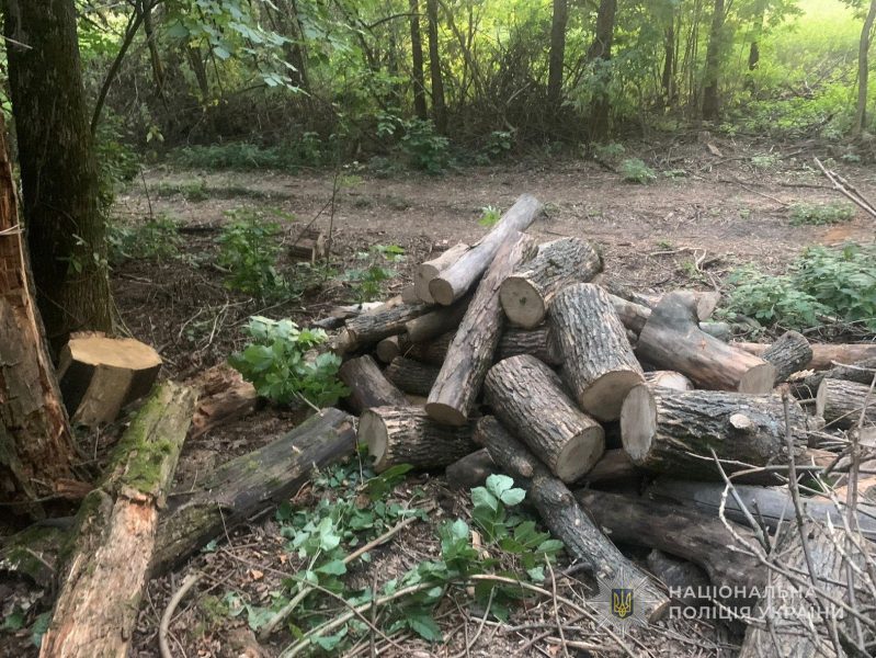 Поліція Роменщини повідомила чоловіку про підозру в незаконній порубці лісу