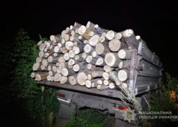 Поліція Роменщини повідомила чоловіку про підозру в незаконній порубці лісу