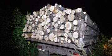 Поліція Роменщини повідомила чоловіку про підозру в незаконній порубці лісу