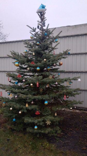 Прикрасили ялинки у патріотичному стилі: волонтери підготували подвір&rsquo;я Церкви Покрови Пресвятої Богородиці до новорічно-різдвяних свят