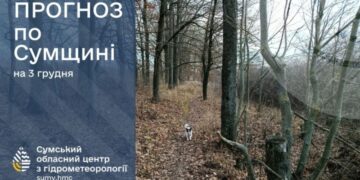 Протягом наступних трьох днів на Сумщині опадів не прогнозують