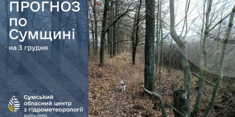 Протягом наступних трьох днів на Сумщині опадів не прогнозують