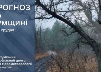 Що прогнозують сумські синоптики до кінця тижня?
