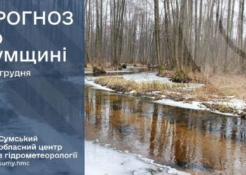 Сумські синоптики прогнозують нічні морози