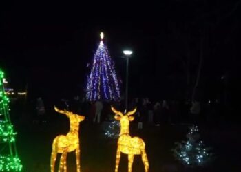 У Конотопі засвітилися вогні на головній ялинці міста