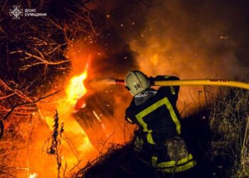 У Шосткинському районі автівка під час руху злетіла у кювет та загорілася