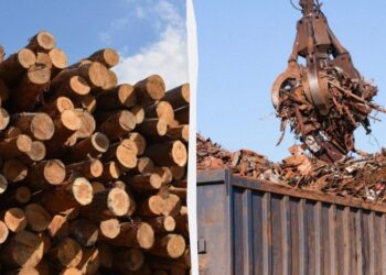 Україна суттєво обмежила експорт стратегічної сировини у 2026 році: подробиці