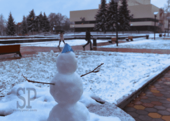 Завтра на Сумщині прогнозують сильний сніг та вітер