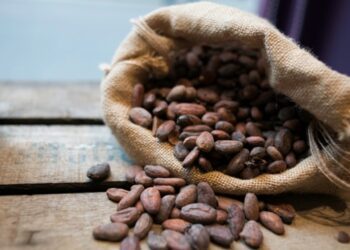 Ціни на какао впали до мінімуму з 2023-го