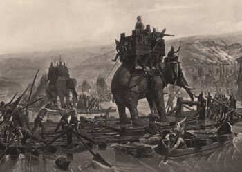 Вчені вперше знайшли фізичні докази використання бойових слонів у Європі