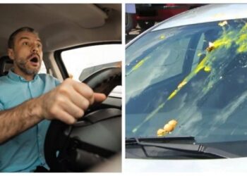 Побачили розбите яйце на склі – біжіть: водіїв попередили про новий трюк викрадачів