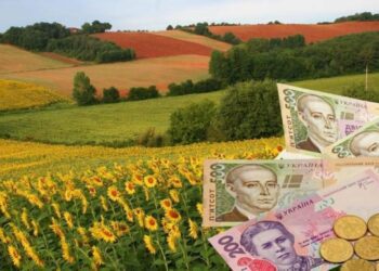 Упродовж 4 років користувалась землею без сплати оренди: на Сумщині притягнуто до відповідальності голову фермерського господарства