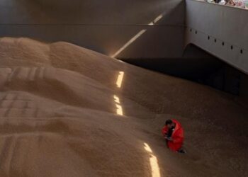 Польща пожалілася в Раду ЄС на агроімпорт з України – ЗМІ