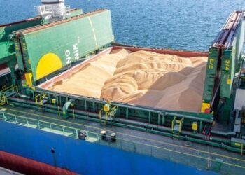 Морським коридором експортовано 100 млн тонн зерна – Кулеба