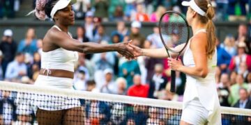 Світоліна зіграє в парі з легендою на турнірі в Окленді