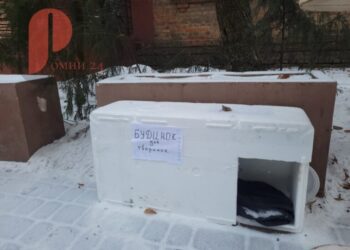 ФОТОФАКТ! У Ромнах під час сильних морозів містяни встановили будиночок для безпритульних тварин