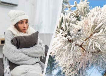 Як зігрітися в холодній квартирі: 8 способів, які дійсно працюють