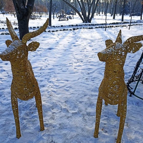 Конотопська бібліотека закликає доєднатися до фоточеленджу &laquo;Мій зимовий кадр&raquo;