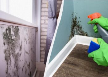 Копійчаний засіб “вбиває” цвіль за 1 годину: можна застосовувати у ванній та на стінах