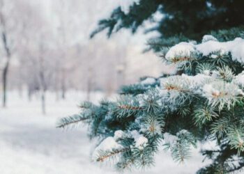 На Сумщині прогнозують послаблення морозів