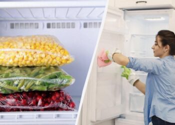 Названо список із 12 продуктів, які можна заморожувати: ви точно не знали цього