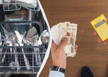 Один режим у посудомийній машині допомагає економити світло: мова не про “швидкий”