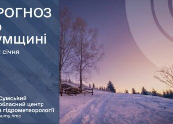Прогноз на найближчі дні: антициклон знову принесе на Сумщину холод та тумани