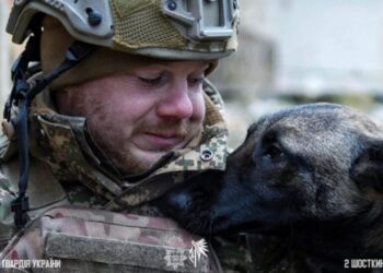 Пухнасті друзі на передовій: як тварини підтримують шосткинських гвардійців