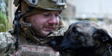 Пухнасті друзі на передовій: як тварини підтримують шосткинських гвардійців