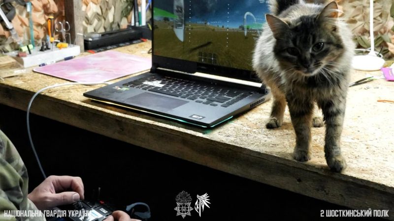 Пухнасті друзі на передовій: як тварини підтримують шосткинських гвардійців