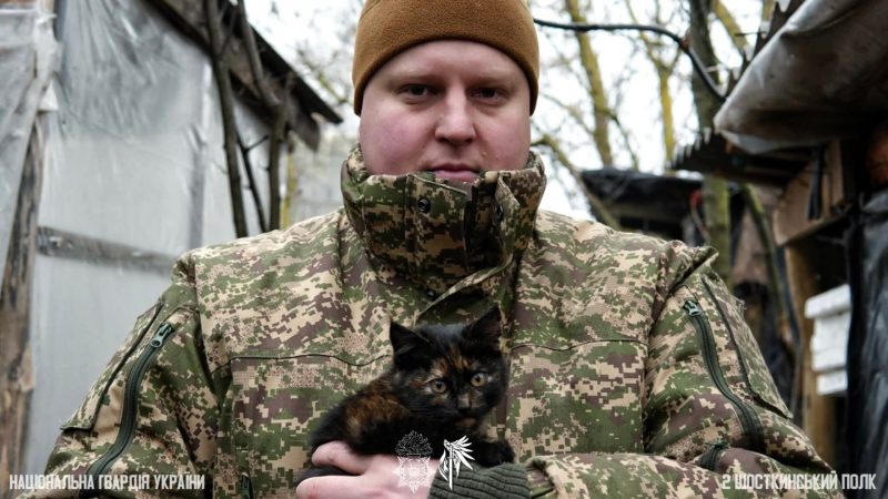 Пухнасті друзі на передовій: як тварини підтримують шосткинських гвардійців